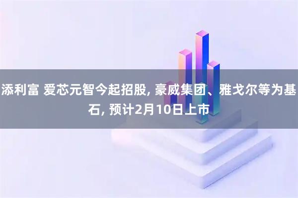 添利富 爱芯元智今起招股, 豪威集团、雅戈尔等为基石, 预计2月10日上市