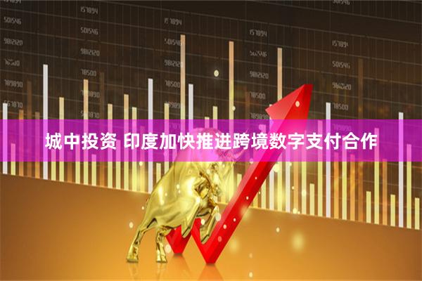 城中投资 印度加快推进跨境数字支付合作